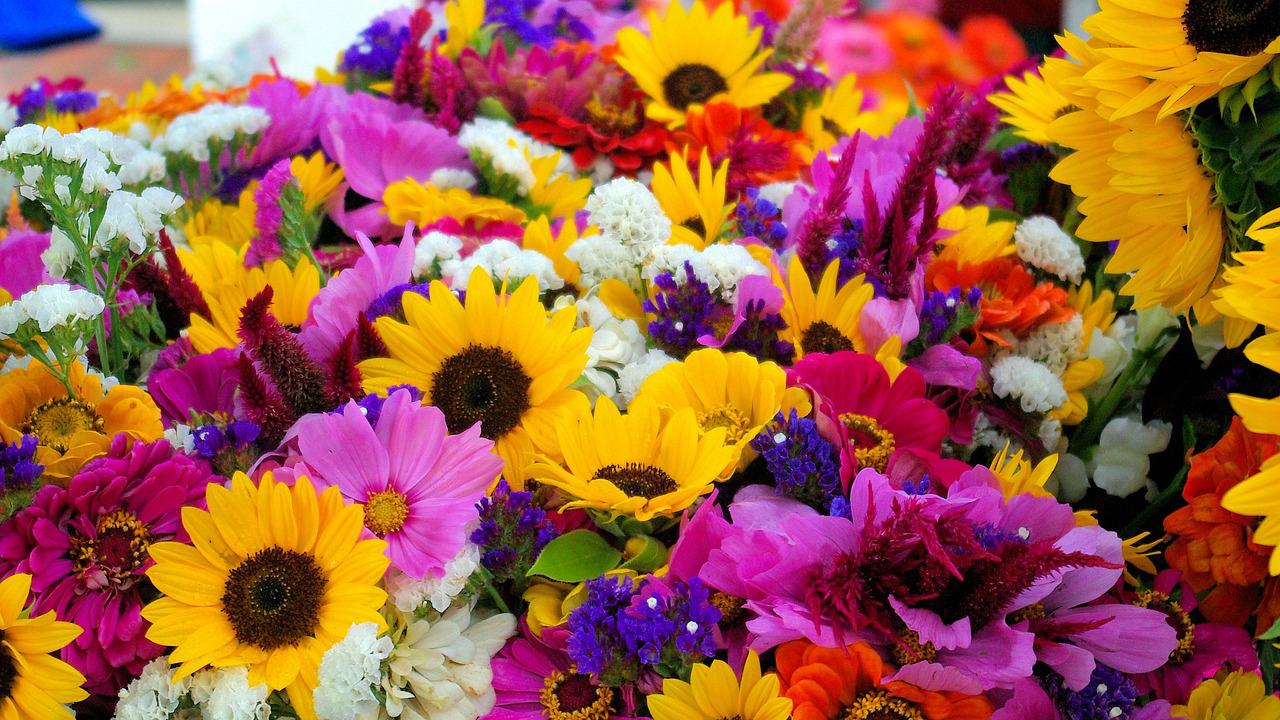 Dane County Farmers Market in downtown Madison