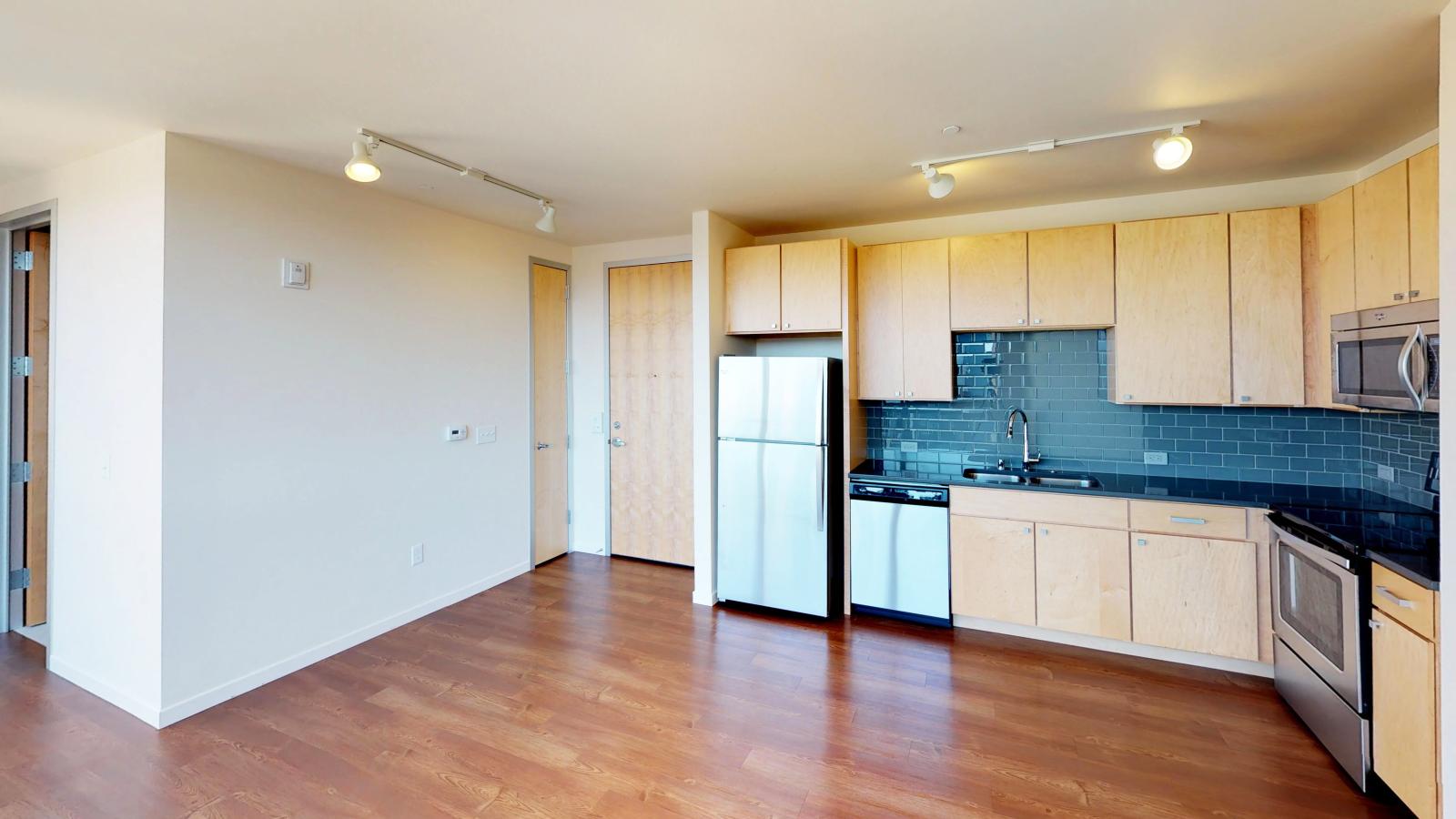 Nine-Line-Apartment-kitchen-upscale-modern-luxury-design-madison-lifestyle-balcony-downtown-capitol.jpg