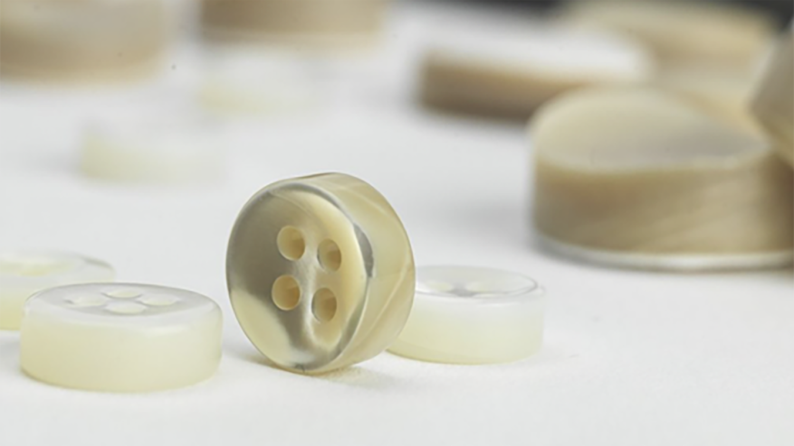 Resident Benefit Lucca Fine Men's Clothing 