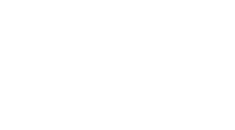Irwin Light Logo 